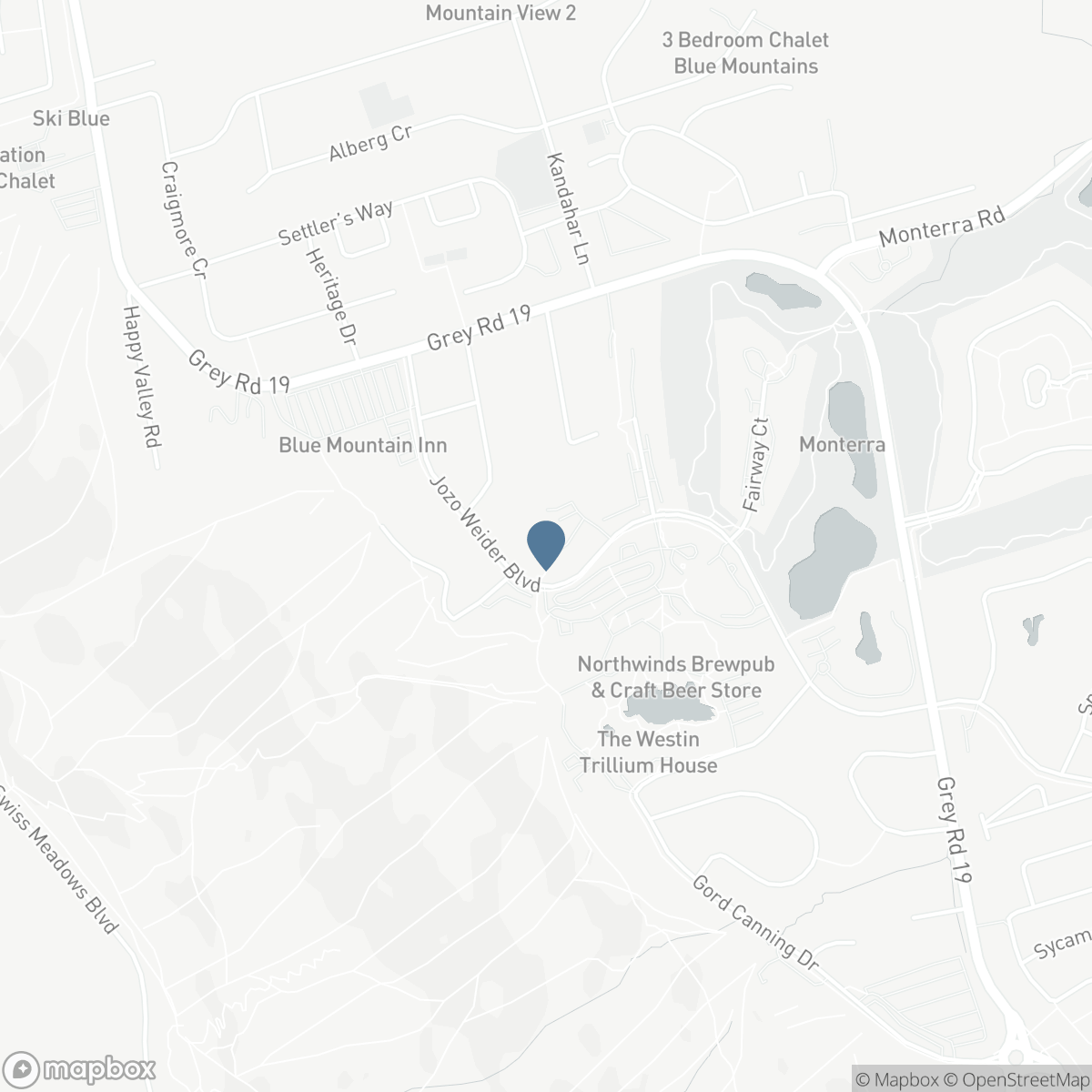 224 - 169 JOZO WEIDER BOULEVARD, The Blue Mountains, Ontario L9Y 0P7